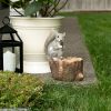 Squirrel Tree Trunk Bird Feeder