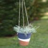 Color Blocked Hanging Terra Cotta Pot - Navy