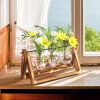 mothers day gifts-Desktop Glass Planter Bulb Plant Terrarium with Wooden Stand