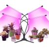 Grow Light