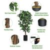 6 Feet Artificial Ficus Silk Tree