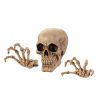 Skeleton Wall Decor Set